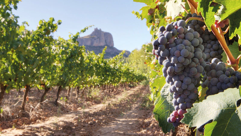 Rioja & Castilla y León