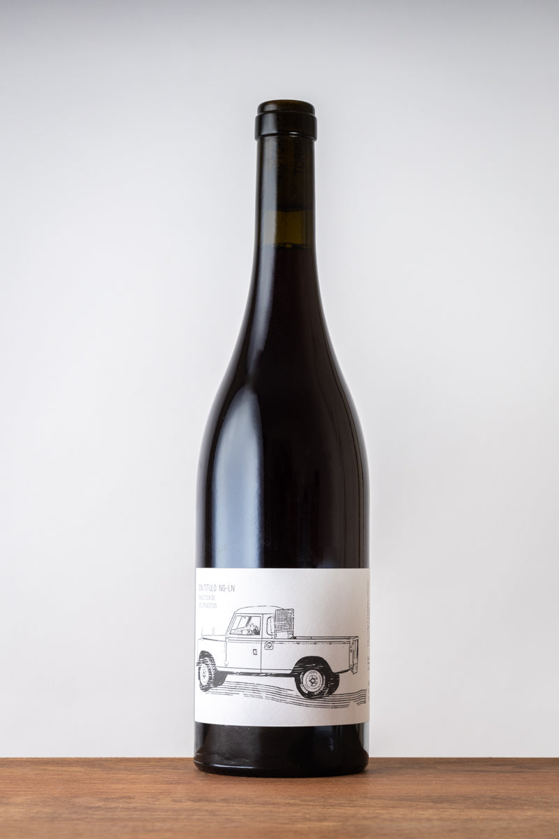 Victoria Torres Pecis 'Sin Titulo' NG-LN