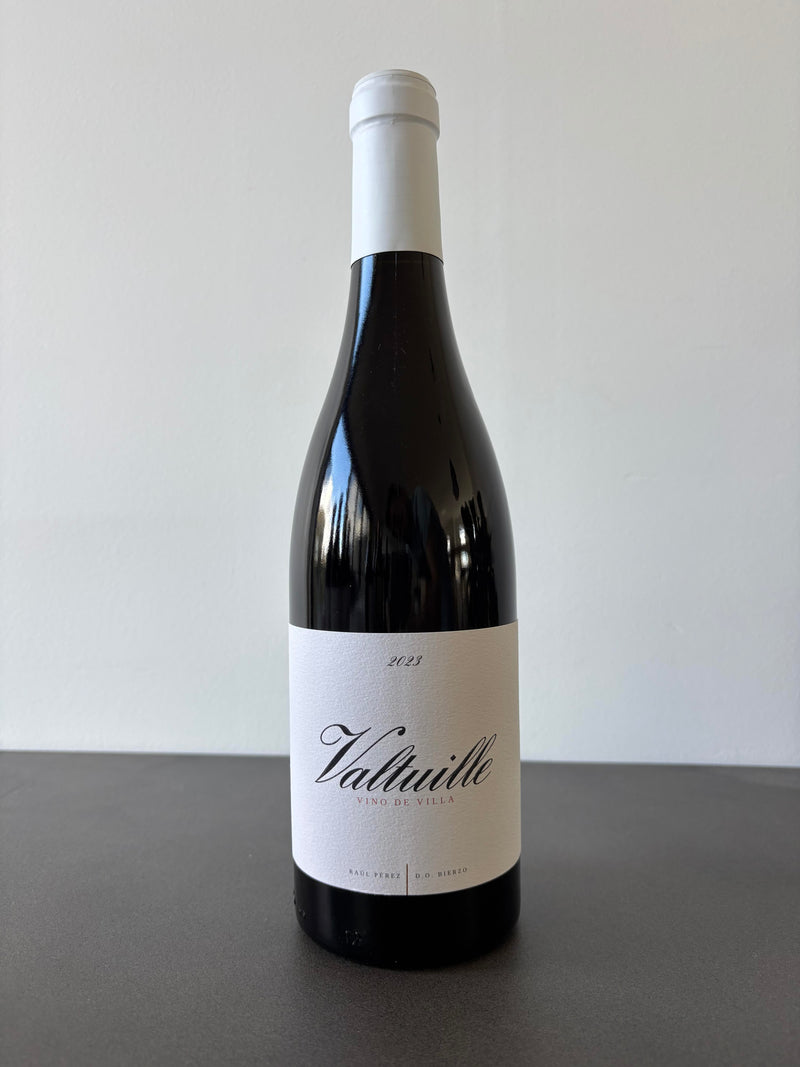 Castro Ventosa Valtuille Vino de Villa